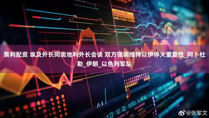 策利配资 埃及外长同奥地利外长会谈 双方强调维持以伊停火重要性_阿卜杜勒_伊朗_以色列军队