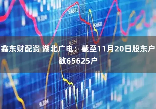 鑫东财配资 湖北广电：截至11月20日股东户数65625户