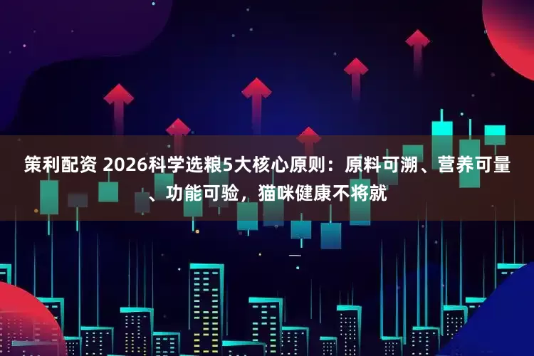 策利配资 2026科学选粮5大核心原则：原料可溯、营养可量、功能可验，猫咪健康不将就