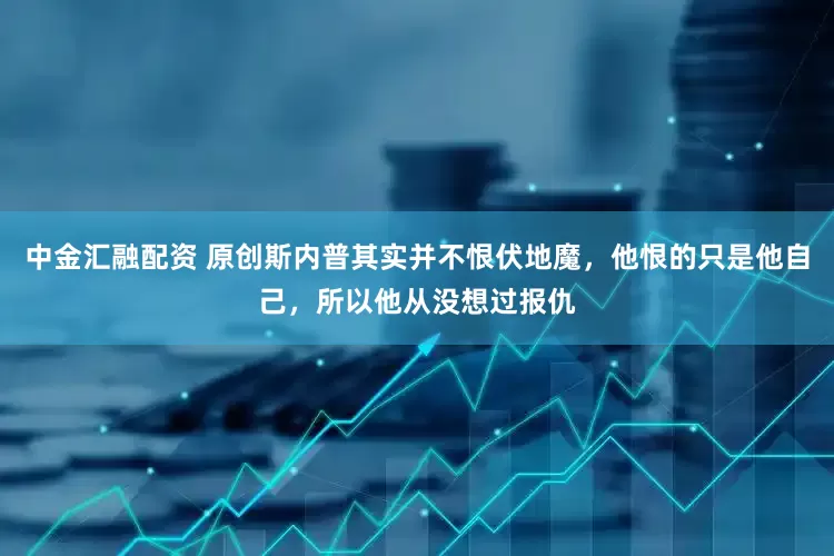 中金汇融配资 原创斯内普其实并不恨伏地魔，他恨的只是他自己，所以他从没想过报仇